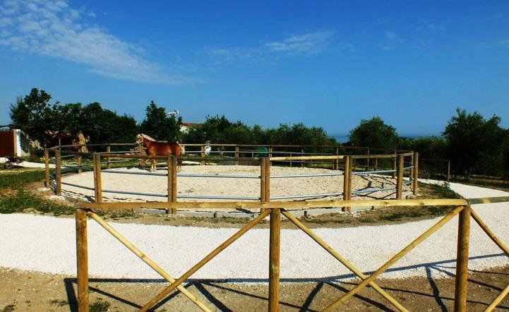 Agriturismo La Casa Della Lavanda - Il Rustico Marina di Montemarciano Buitenkant foto