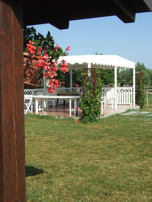 Agriturismo La Casa Della Lavanda - Il Rustico Marina di Montemarciano Buitenkant foto