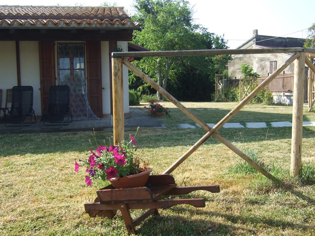 Agriturismo La Casa Della Lavanda - Il Rustico Marina di Montemarciano Buitenkant foto